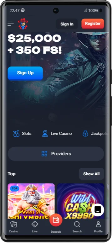 LuckyHunter Casino App